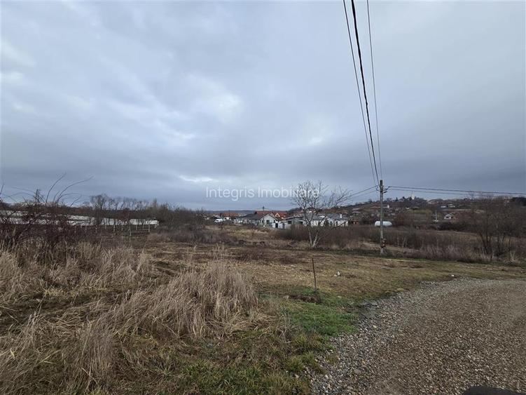 Teren intravilan,dublu front,Paleu,Oradea,Bihor - 5