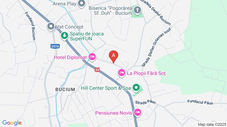 Proprietar- Plopii fara sot