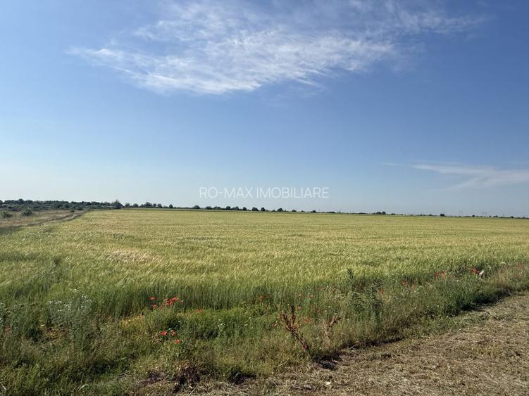 Teren 10 hectare pretabil pt panouri solare-Aricesti Rahtivani - 9