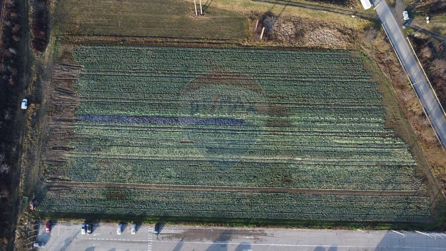 Teren industrial 15.938 MP langa HENKEL cu utlilitati la limita