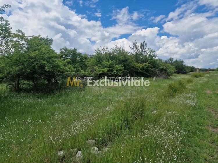 0% Comision!!! Teren intravilan Smeura - str Prunilor! - 2