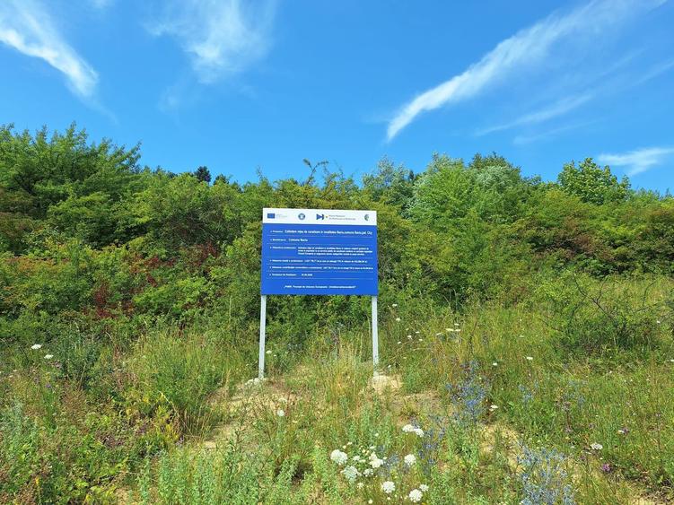 Teren intravilan 5.800 mp, Baciu Vatra Satului Vechi, Panorama superba