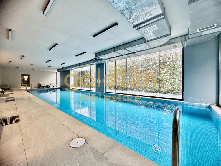 ANSAMBLU CU GYM SI PISCINA/SPATII DEPOZITARE/ IANCU NICOLAE - 5