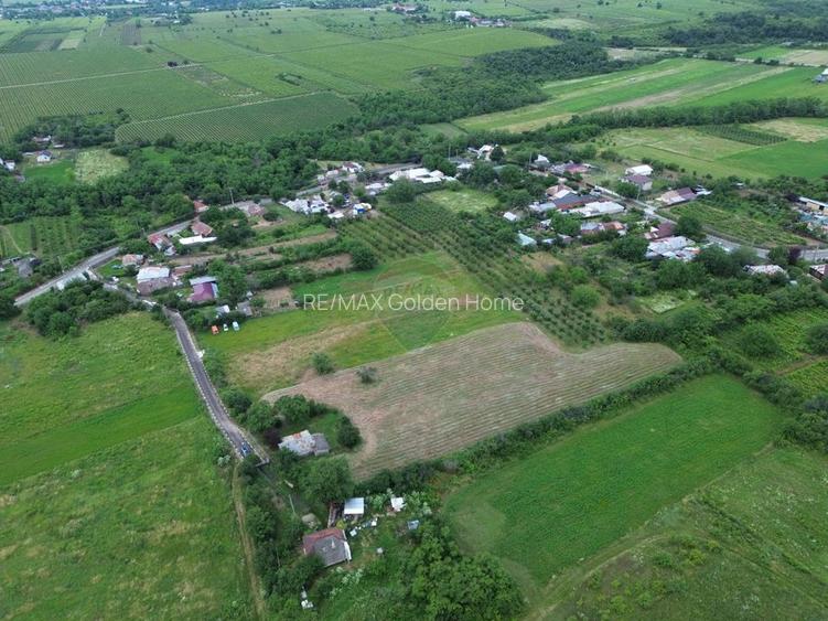 Teren 4,229mp Blidari (Carligele) / Strada Simionescu - 5