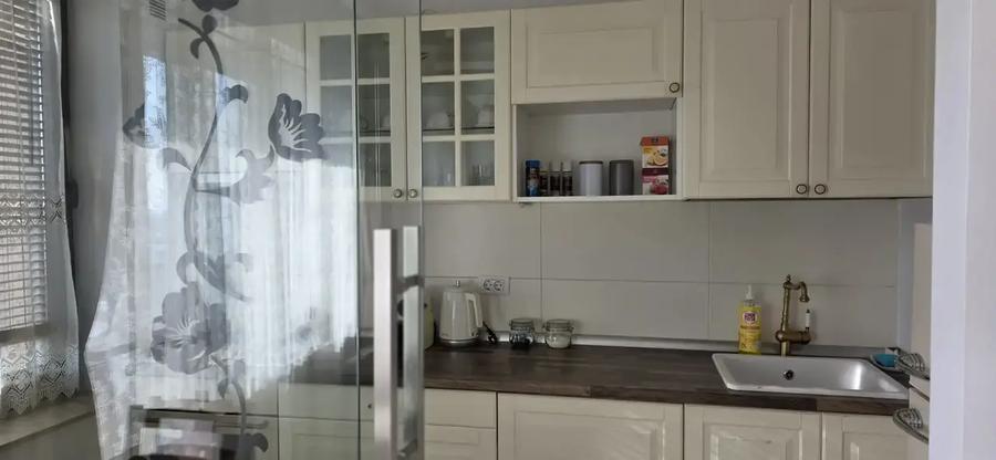 Studio Iancu Nicolae, Ambasada Americii, Gradina Zoologica | Elegant