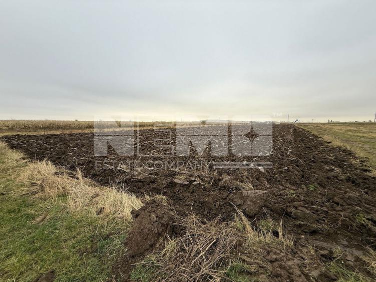 Parcela teren agricol 50 Ari
