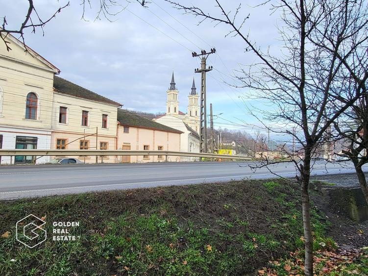 Proprietate tip conac, teren 4468 mp, oras Lipova