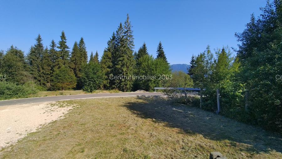 Teren de vanzare Predeal -Hotel Belvedere - 7