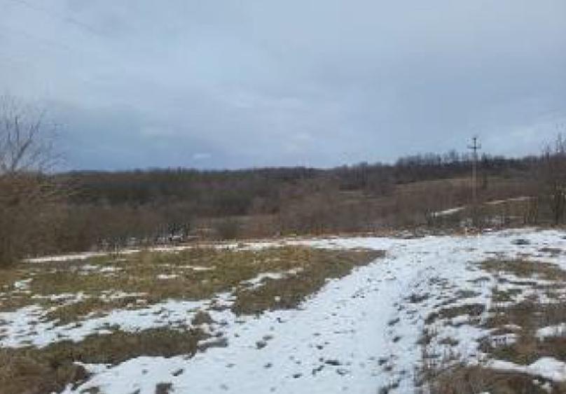 Teren extravilan 1.756 mp, IASI, DOBROVAT