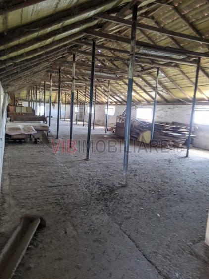 Ferma Zootehnică– Satchinez,  | 9,5 ha teren,vanzare sau schimb pentru jumatate