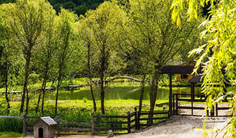 Domeniu de excepție cu lac privat și piscină interioară | Râșnov - 21