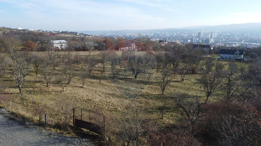 Teren 20.146 mp Dâmbu Rotund (Lomb).Extravilan.Potențial rezidențial