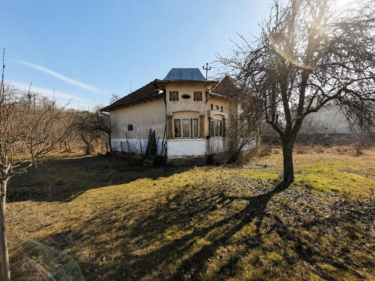 Proprietate cu 2.109 m² teren intravilan și două case, în Olanu