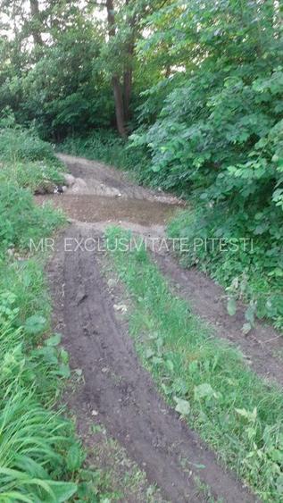 Teren extravilan Pitesti - str. Balotesi!! - 6