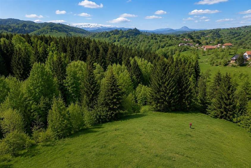 Bran Mountain Retreat – Doar 3 vile exclusiviste în inima Branului