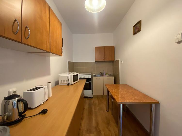 Apartament de inchiriat Ultracentral - O camera - Piata Muzeului