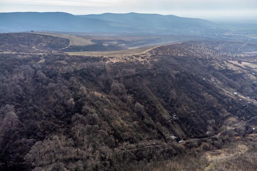 Teren în Ghioroc pe deal
