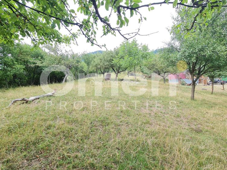 Teren de vânzare | Suprafață 10.040 mp | 2.500 € / ar | Strada Nucului - 3