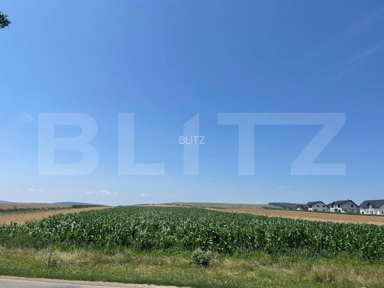 Teren Intravilan, 10300 mp, zona Mitocului - 2