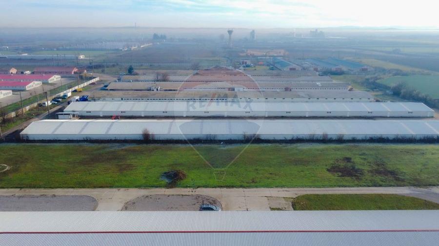 De vânzare – 2 hale industriale, 5.050 mp utili, Palota