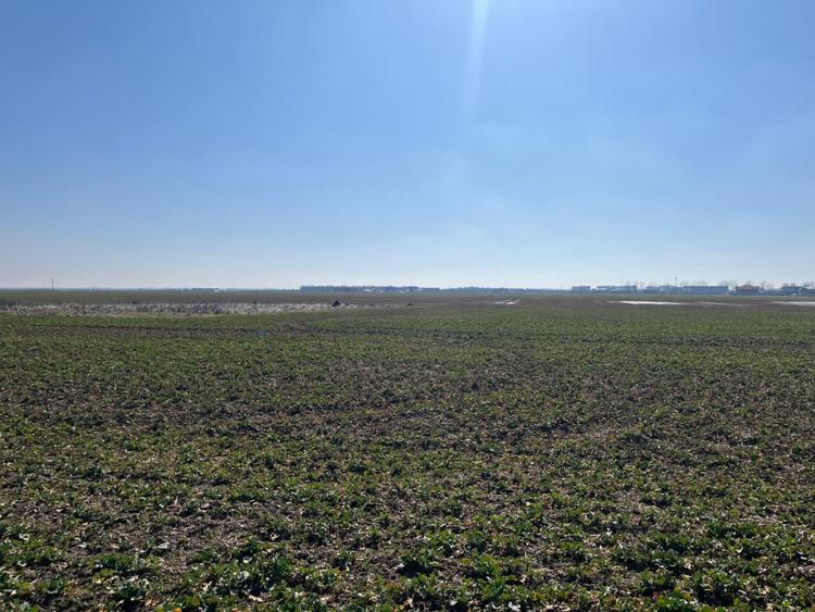 Teren intravilan, 5000 mp, zona Peugeot