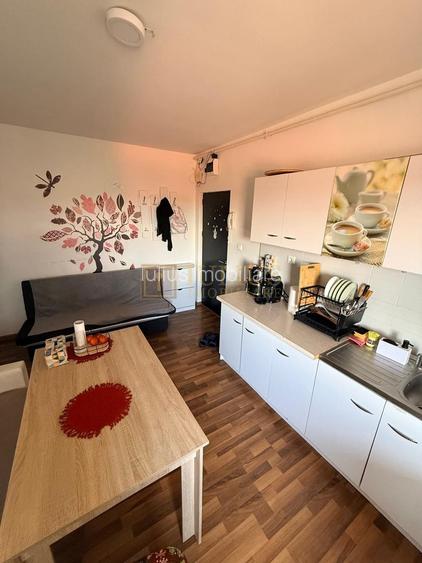 2 camere| Lipovei| zona frumoasa| centrala proprie, clima| pet friendly (pisic) - 12