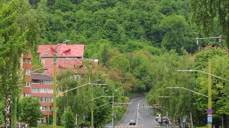 Dobrogeanu Gherea- garsoniera + anexa,bloc tip vila