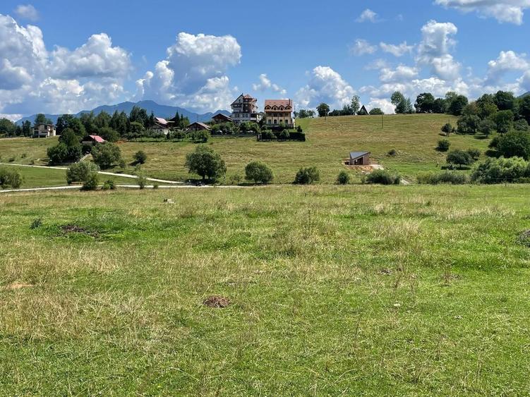INVESTIȚIE | Teren 5000 mp PUZ APROBAT intravilan - zona Sohodol -Bran