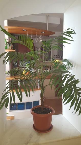 PF dau in chirie apartament modern 4 camere - 113 mp Zorilor, parcare inclusa - 4