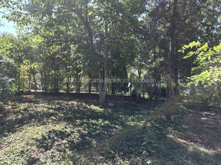 Vanzare teren cu deschidere la lac, zona Ciofliceni - Sangov. - 4