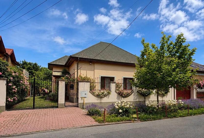Casa Individuala - Parter - Zona Elisabetin - 610 Mp Teren