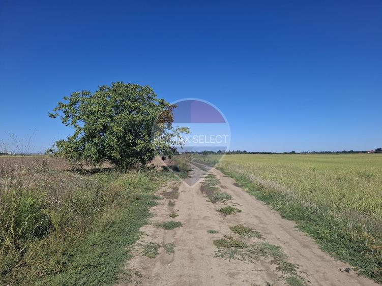 Vanzare teren extravilan 5.000mp - Pantelimon - 4