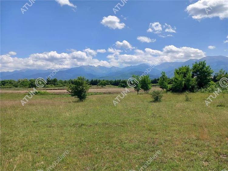 Teren intravilan 5000 mp pe Valea Avrigului, Sibiu