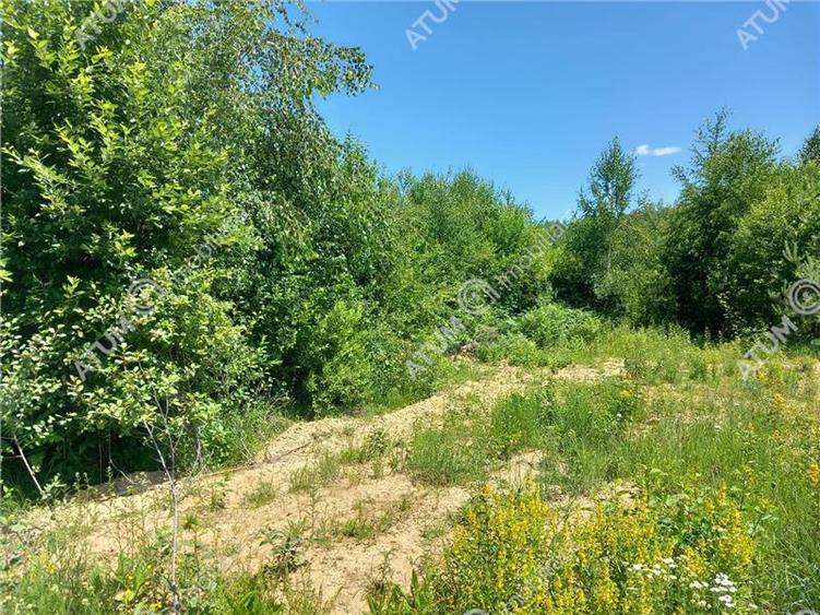 Teren intravilan 3900 mp Porumbacu de Sus, Sibiu