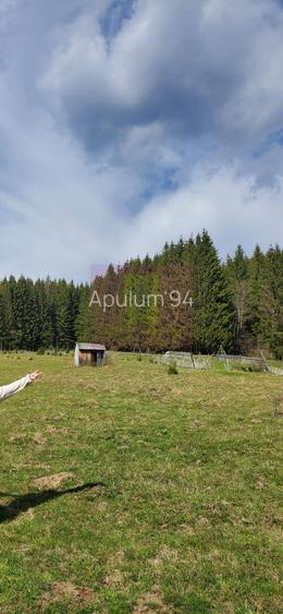Teren intravilan 2500 mp in Valea Doftanei - 2
