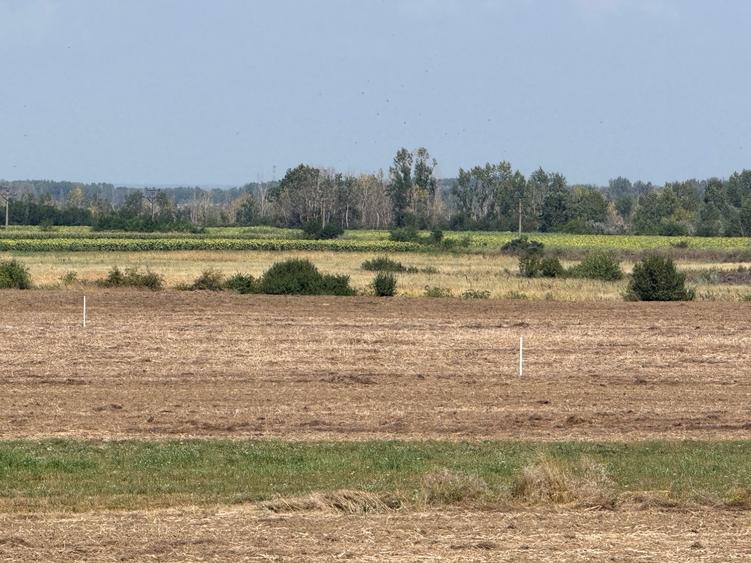 Vand teren autostrada Bucurest Pitesti A1 30000 mp (3ha) cu deschidere la A1