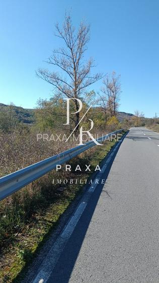 Teren extravilan, 2250 mp, in comuna Vultureni la ieșirea spre Borsa! - 3