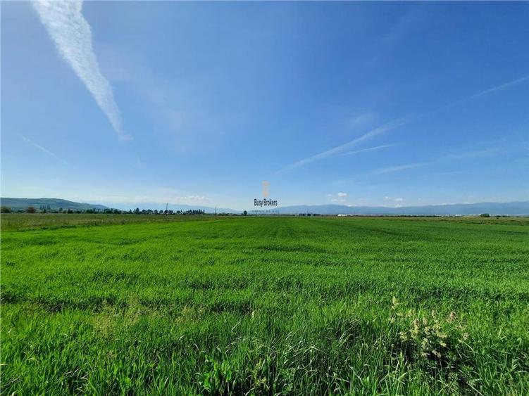 Teren Sibiu - Calea Surii Mari - 4500 mp
