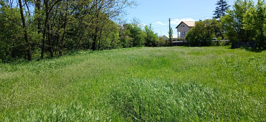 TEREN DE ÎNCHIRIAT / COLABORARE – ZONĂ STRATEGICĂ ÎN COMUNA SURAIA, JUDEȚUL VRAN