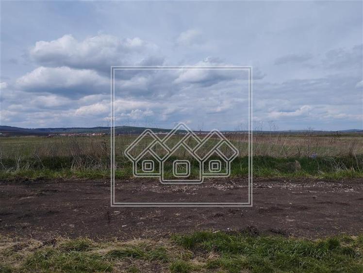 Teren extravilan in Sura Mica, 9300 mp - Zona industriala