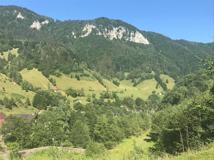 Teren intravilan, 2694mp, râu, vedere spre munte, Satic