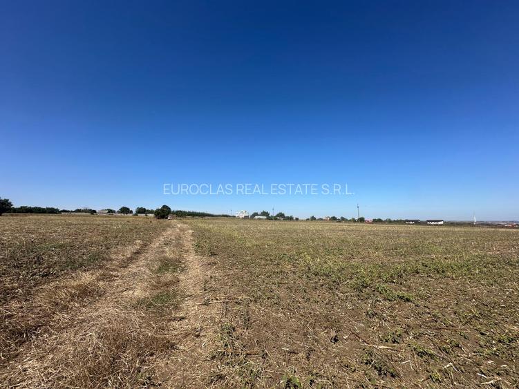Exclusiv ! TUZLA - teren 10.000 mp cu deschidere 37 mp (Cod E8) - 4
