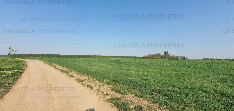 Terenuri intravilane in Racari, Colacu 10.000 + mp , Dambovita