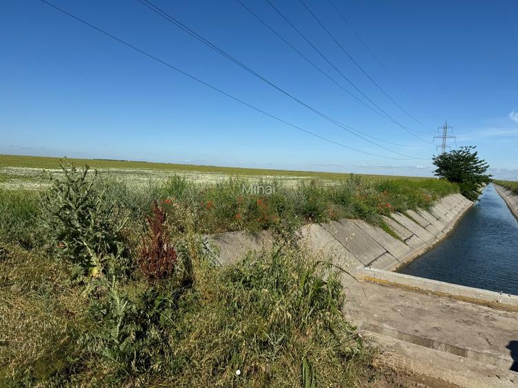 Vând teren agricol comuna Lita județ Teleorman   - 4
