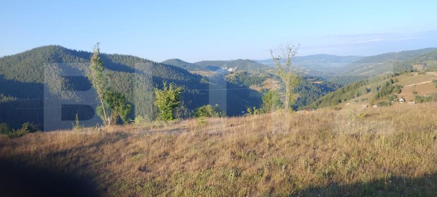 Teren intravilan, 3000 mp, Sat Garda de Sus