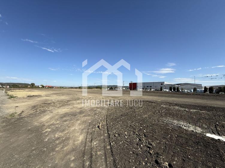 Teren Industrial 6300mp | Intrare din DN1 | Rascruci