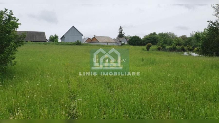 COMISION 0% Casa batraneasca cu 2000mp teren, front stradal 32ml - 4