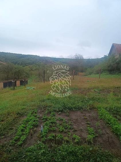 2 Case 100 mp -teren 3576mp-livada-garaj-Enciu 37 km de Bistrita