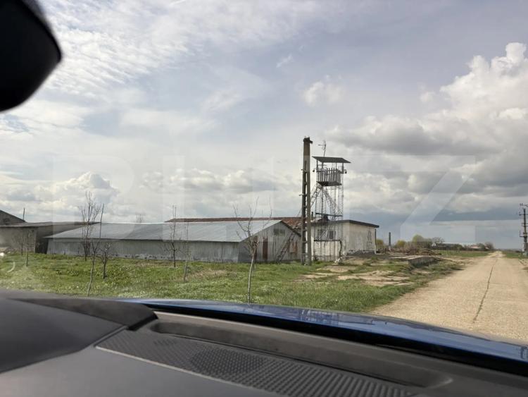 Ferma de nuci - teren agricol, zona Ivesti