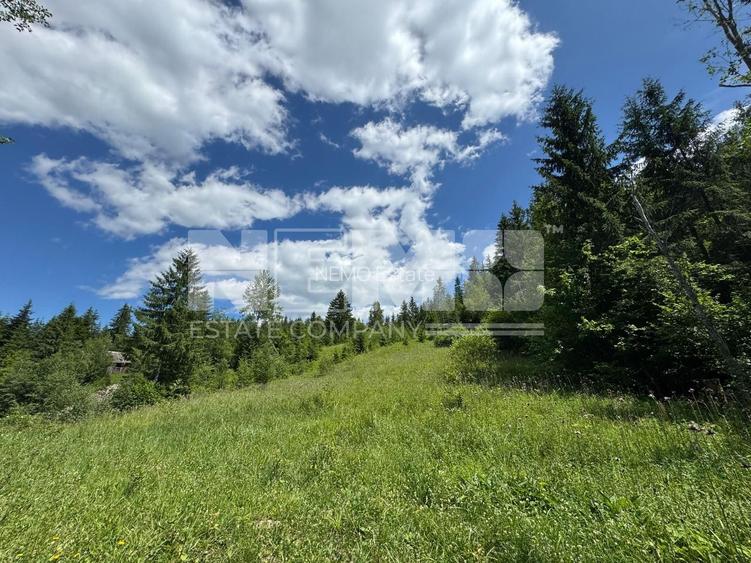 TEREN EXTRAVILAN DE VANZARE | CAMPULUNG MOLDOVENESC | 235.000€ - 5